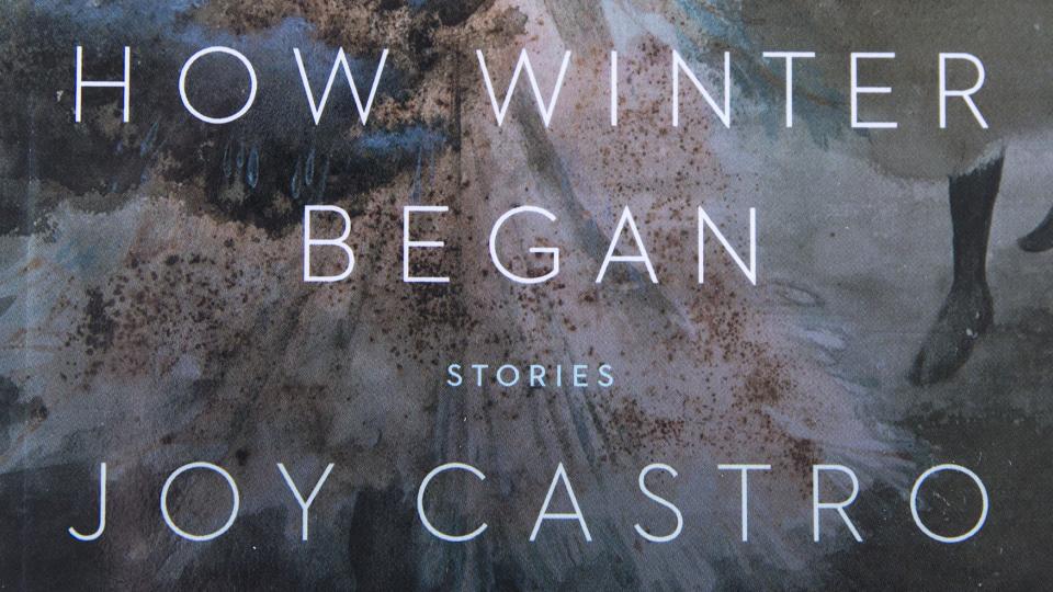 Cover of HOW WINTER BEGAN by Joy Castro; links to news story