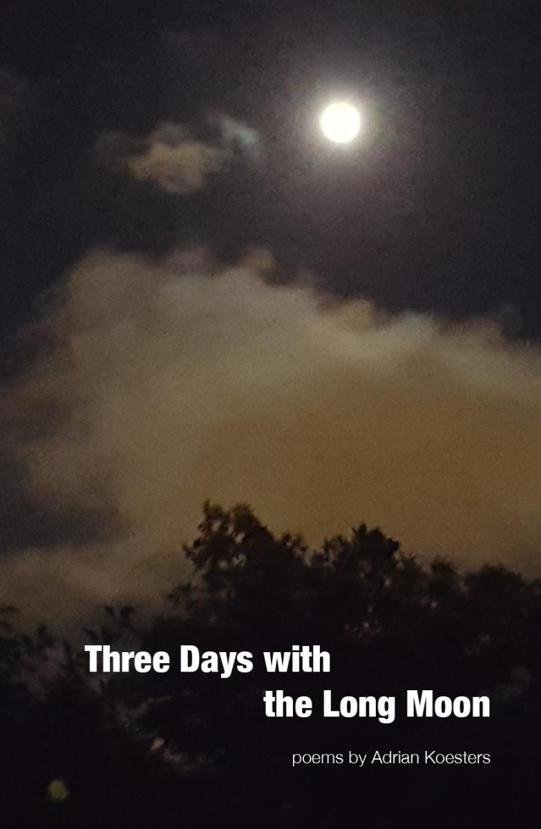 Cover of THREE DAYS WITH THE LONG MOON