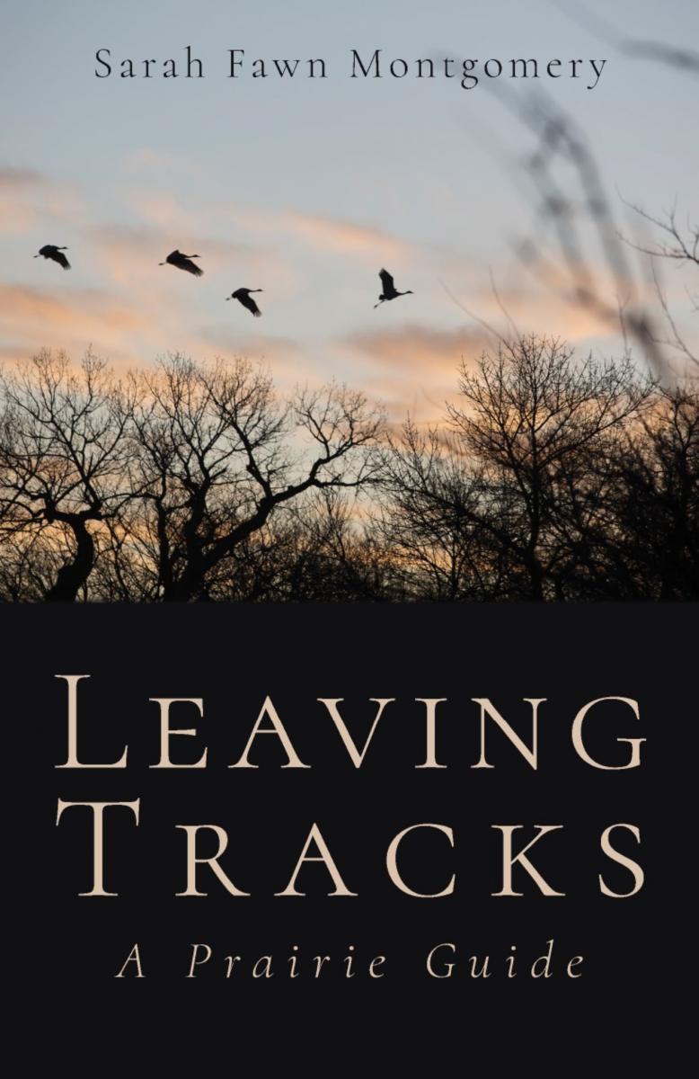Cover of LEAVING TRACKS