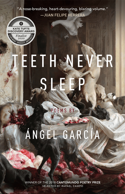 Cover image for Teeth Never Sleep