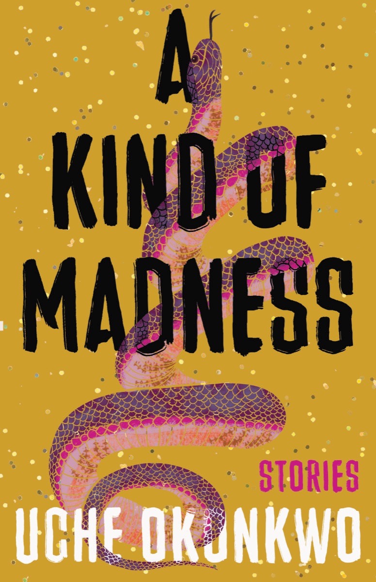 Cover image for A Kind of Madness