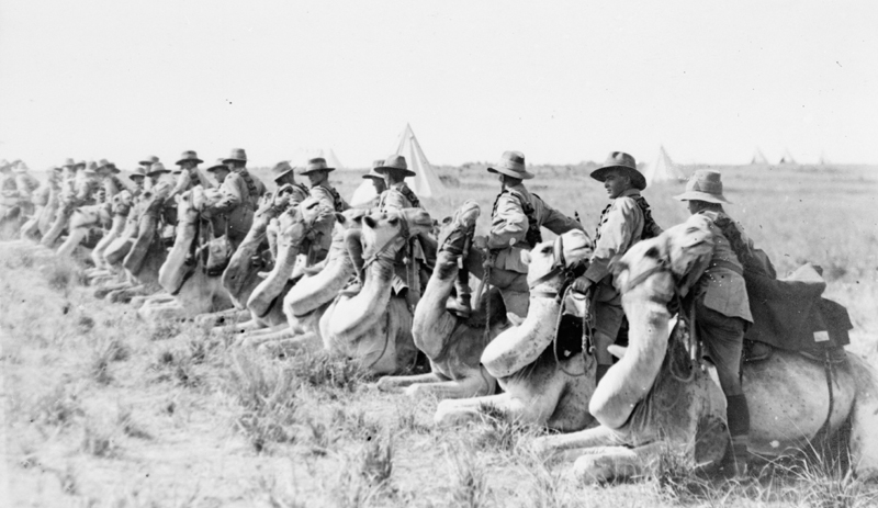 British imperial camel regiment