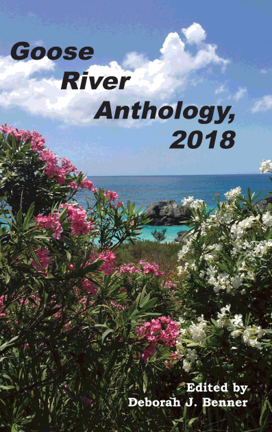 Cover of Goose River Press anthology, 2018