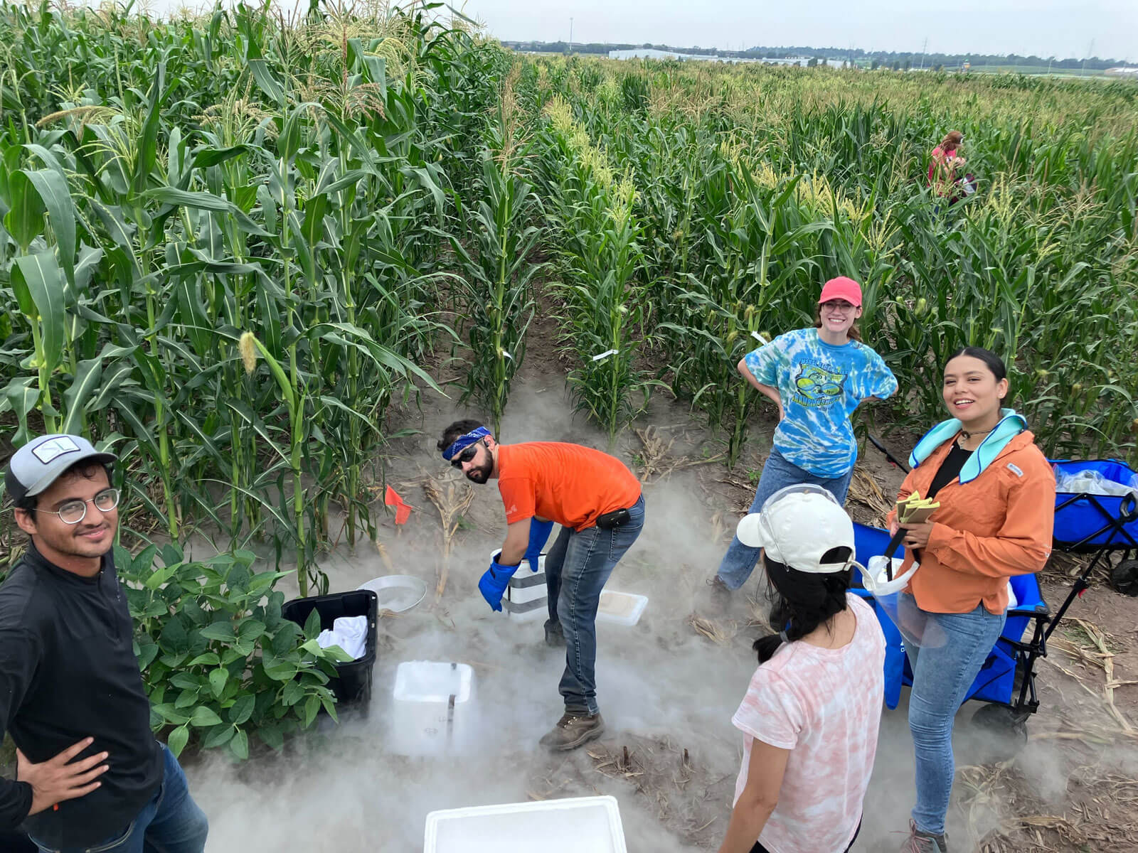 James Schnable's Lab posed for a picture while collecting data from their fields!