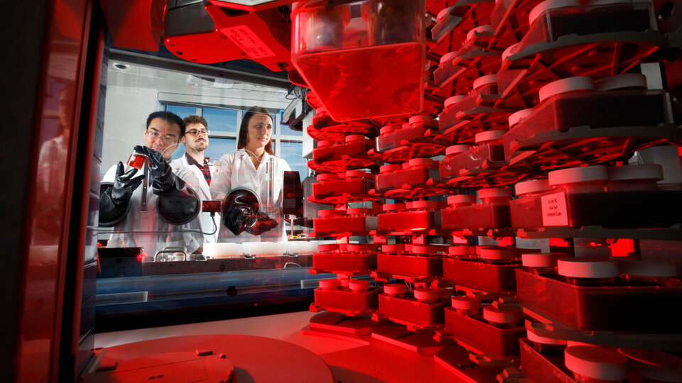 Students working on chemistry project in a lab